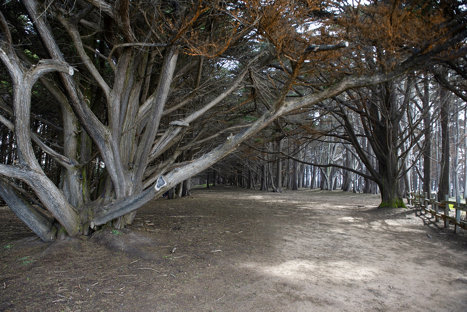 Half Moon Bay California (53526477719)